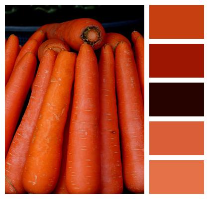 Vegetable Carrots Green Vegetables Image